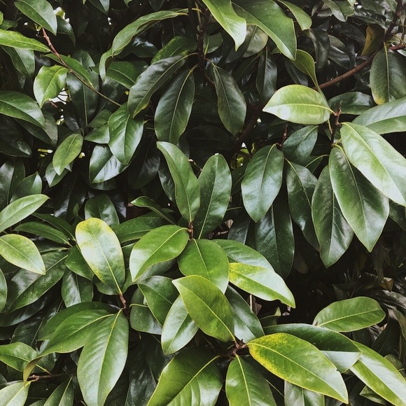 Thanks for checking out my closet! ๐ซ - Picture 11 of 11